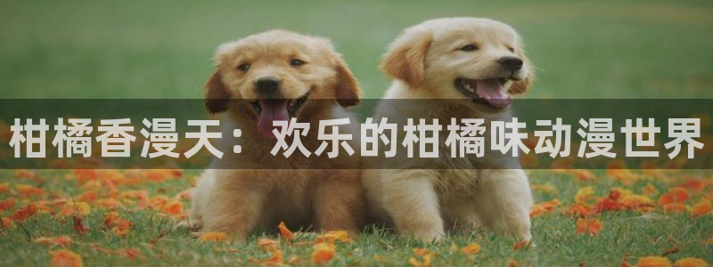 2026汗汗漫画最新更新：柑橘香漫天：欢乐的柑橘味动漫世界配图