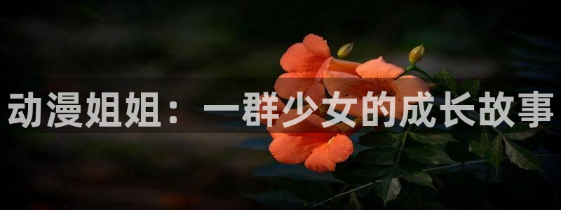 汗汗漫画高分排行榜：动漫姐姐：一群少女的成长故事配图
