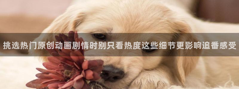 汗汗漫画章节列表:挑选热门原创动画剧情时别只看热度这些细节更影响追番感受配图