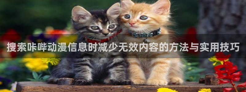 汗汗漫画大全免费阅读:搜索咔哔动漫信息时减少无效内容的方法与实用技巧配图