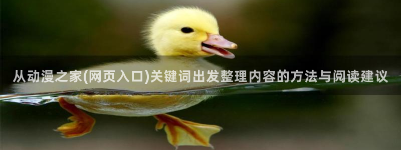 汗汗漫画高分作品大全:从动漫之家(网页入口)关键词出发整理内容的方法与阅读建议配图