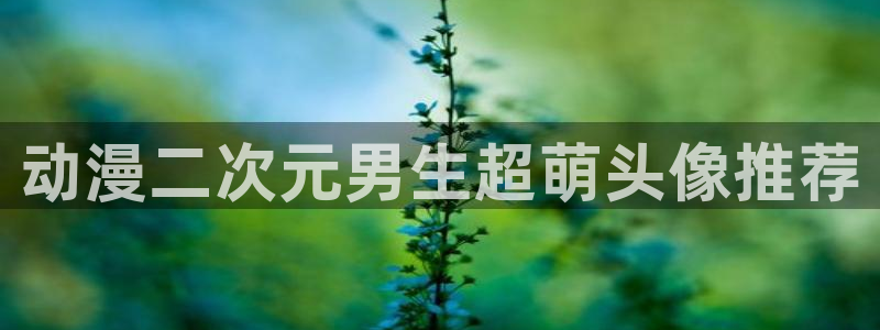 汗汗漫画2026:动漫二次元男生超萌头像推荐配图