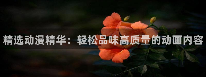 汗汗漫画哪个网站可以看:精选动漫精华:轻松品味高质量的动画内容配图